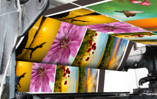 The image depicts a large industrial printer in action, producing high-quality, vibrant prints featuring various images. These images include close-up photographs of colorful flowers, sunsets, nature landscapes, and artistic silhouettes. The printer appears to be working efficiently, with prints flowing smoothly as they emerge from the machine, showcasing a range of bright, detailed, and colorful designs.